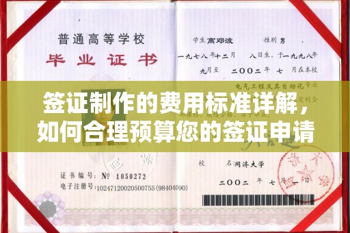 民权签证制作的费用标准详解，如何合理预算您的签证申请成本